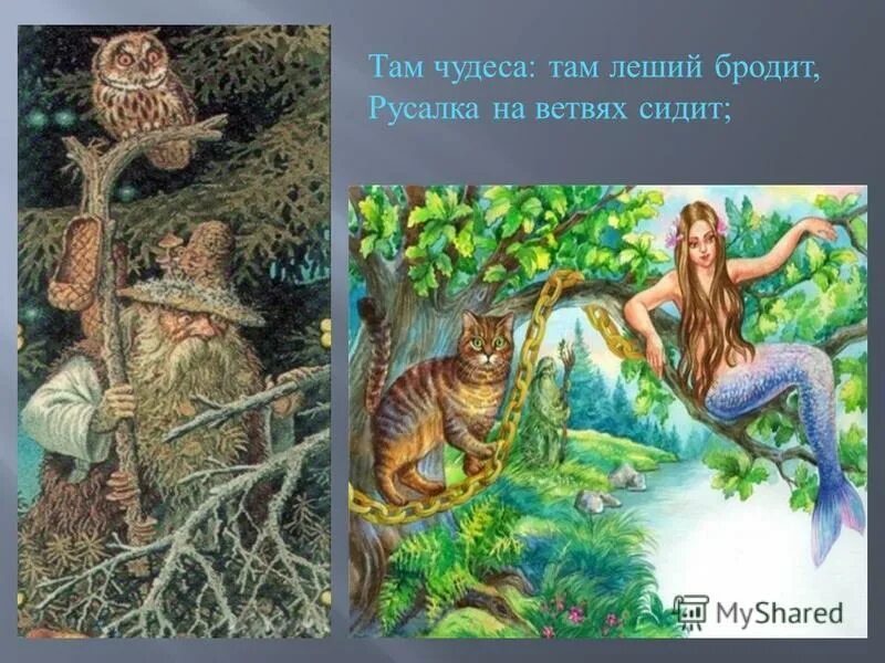 у лукоморья дуб зеленый златая цепь на дубе том. у лукоморья дуб зеленый. дуб зелёный златая цепь. чудеса у лукоморья дуб. чудеса у лукоморья дуб.