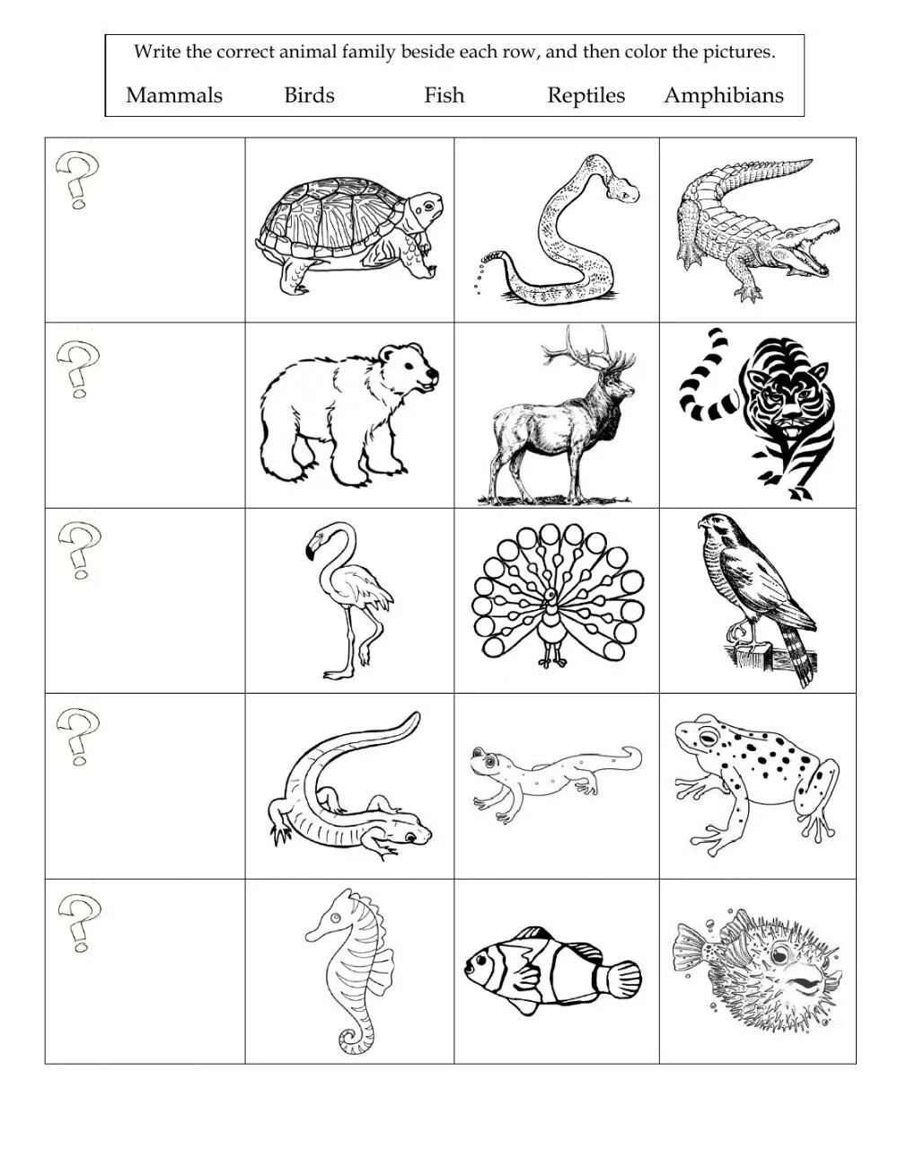 Млекопитающие задание для дошкольников. Земноводные и пресмыкающиеся задания для дошкольников. Задания животные Worksheet. Звери птицы рыбы насекомые для дошкольников задания.