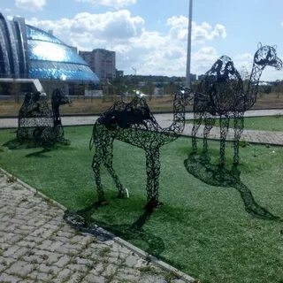 Гугл темиртау