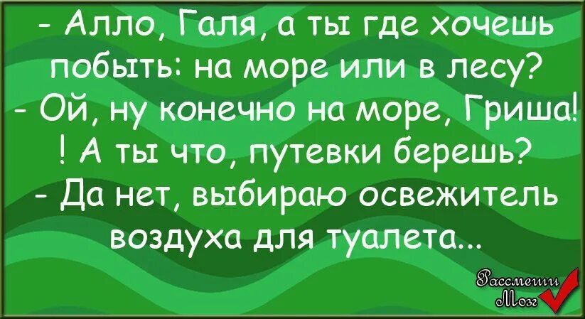 Анекдот про галю. Шутки про Галю. Смешные стишки про Галю. Анекдоты про Галю. Стих про Галю смешной.