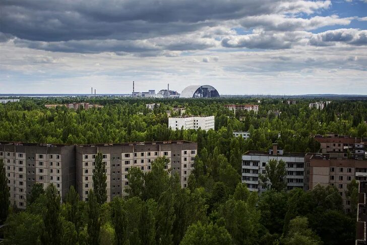 Сколько лет чернобылю в 2025 году