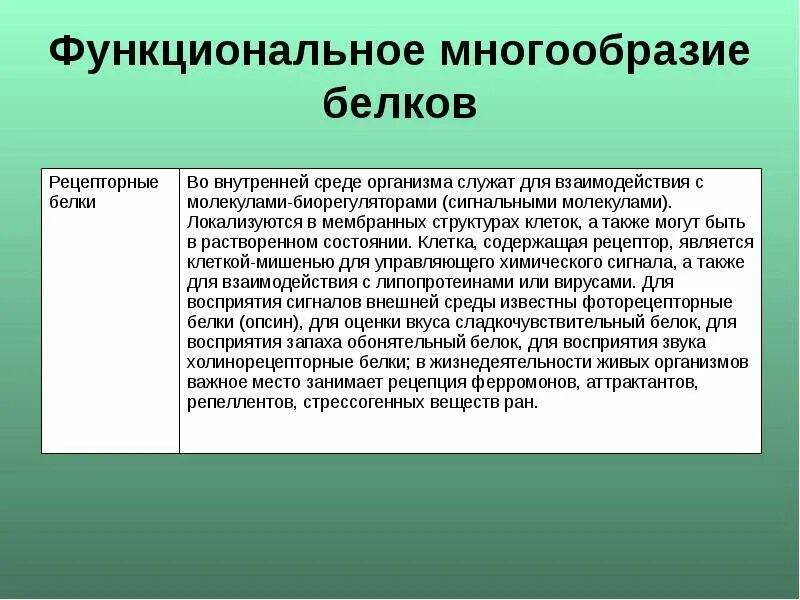 Структурное и функциональное разнообразие белков. Структурно функциональное разнообразие белков. Причины многообразия белков. Многообразие белков в структурно-функциональном отношении.