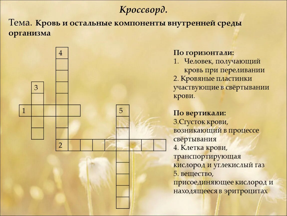 Влияние кроссвордов на человека. Кроссворд на тему кровь. Кроссворд по теме кровотечения. Кроссворд биология. Кроссворд по биологии с ответами.