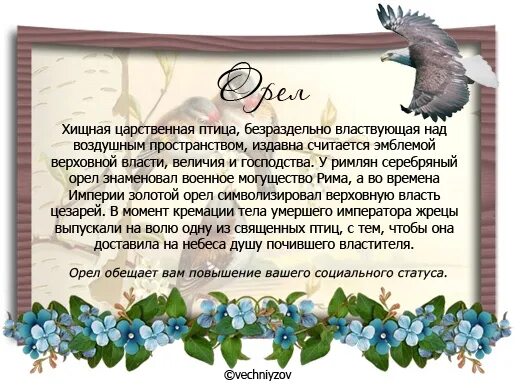Легенда о сове. Птицы под названием малео. Легенда о жар птице для детей. Какая птица по легенде. Птица счастья легенда.