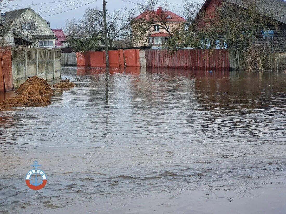 Уровень воды сож в славгороде сегодня реке. Гомель паводок СОЖ 2023. Гомель затопило апрель 2023. Весенний паводок. Половодье.