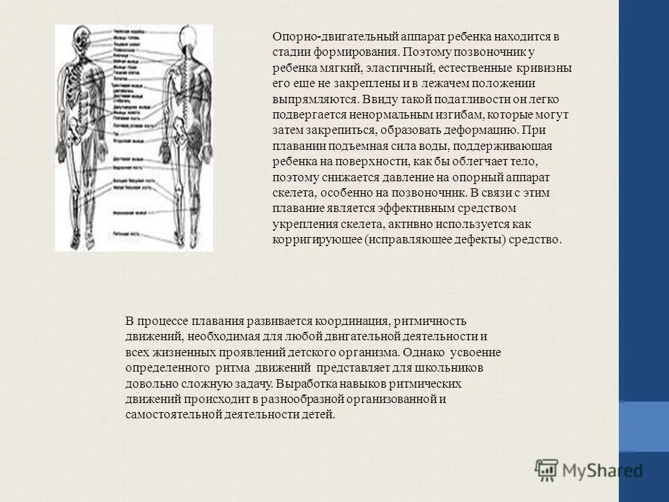 особенности опорно двигательной системы детей