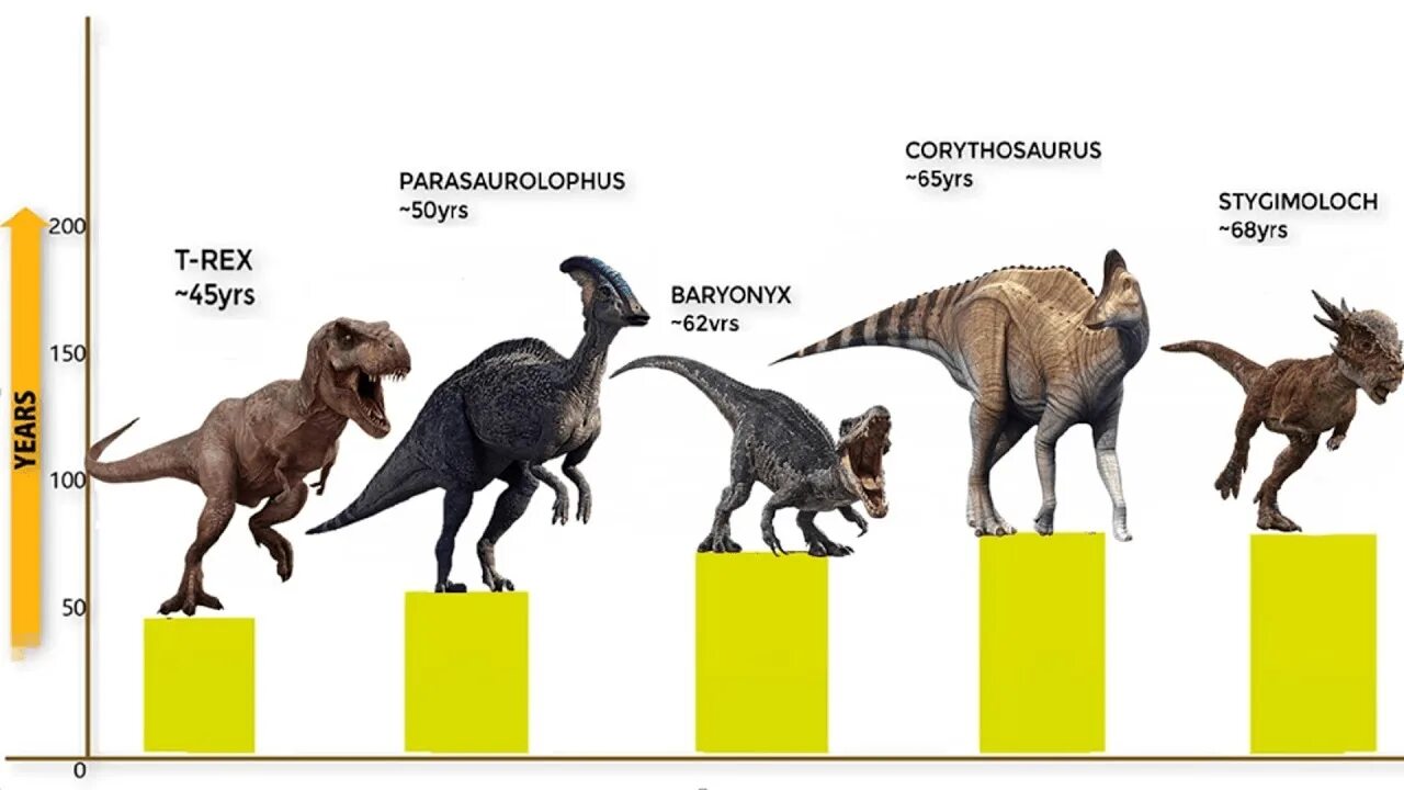 Продолжительность жизни динозавров. Средняя Продолжительность жизни динозавров. Сколько жили динозавры Возраст. Сколько лет живут деназавр. Число динозавров