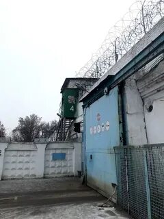 Сизо тольятти