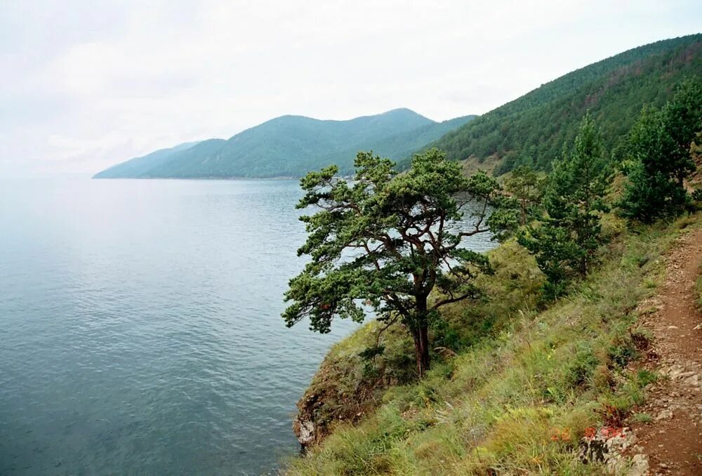 Иркутская область байкал природа. Река бирюса красноярский край. Речка бирюса тайшет. Марьин утес иркутская область. Киренга иркутская область.