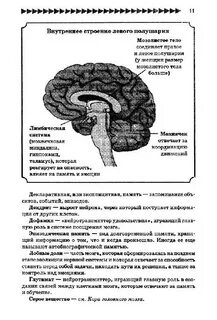Мозг работает на 100