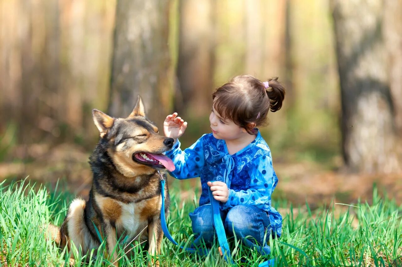 Kindness to animals. Собака для детей. Животные и дети с аутизмом. Дети аутисты боятся собак. Be kind to animals.