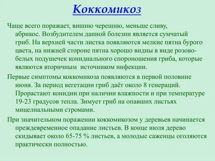 Дали возбудитель