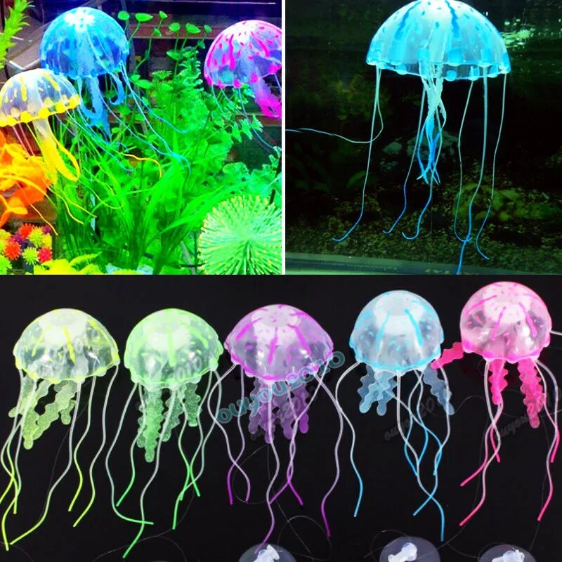 Медуза живая купить. Аквариумные медузы. Медуза в аквариуме Живая. Аквариум с медузами. Медуза в аквариуме искусственная.