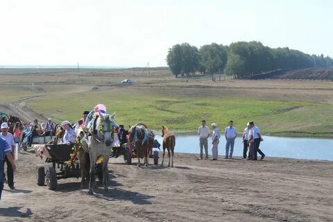 Погода село старые чукалы