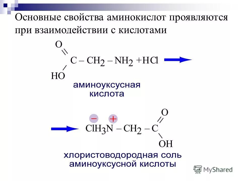 Амины проявляют основные