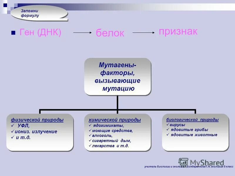 днк белок признак