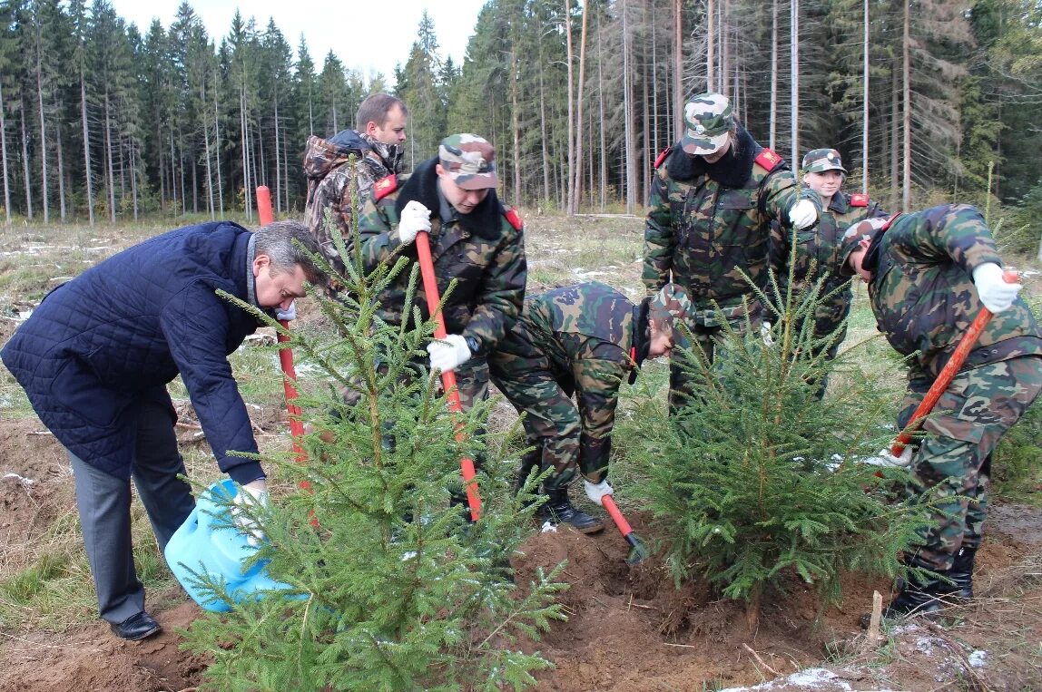 Фонд защиты лесного фонда