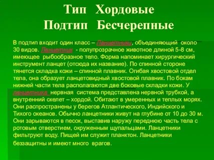 Бесчерепные биология 7