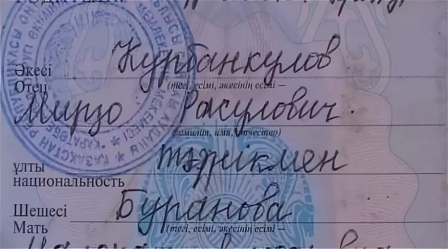 Не дописала