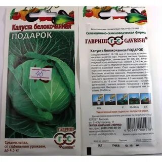 Капуста подарок характеристика сорта