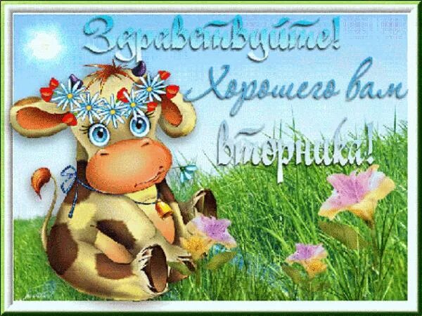 Доброе утро вторник анимация. Веселого вторника открытки. открытки со вторником. вторник анимация. пожелание доброго вторника.