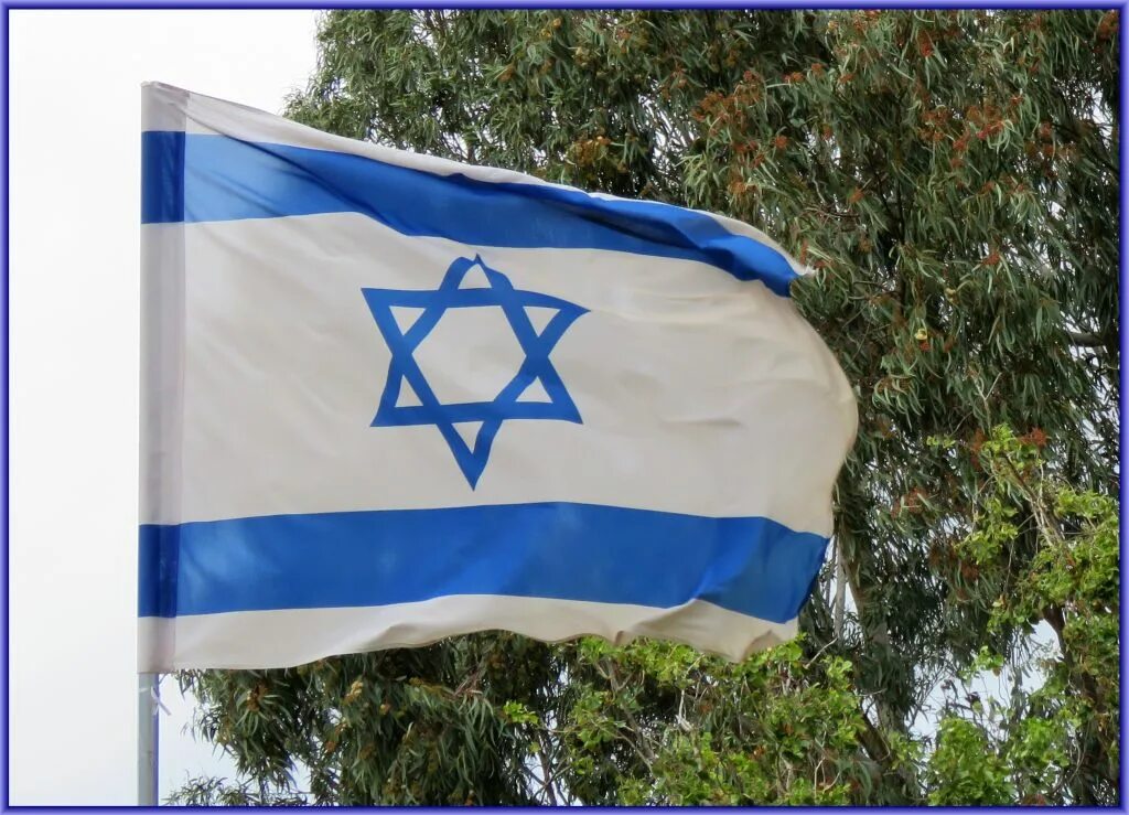 Collectibles ISRAEL JEWISH Star Of DAVID 2x3 foot SuperPoly In/Outdoor FLAG Bann