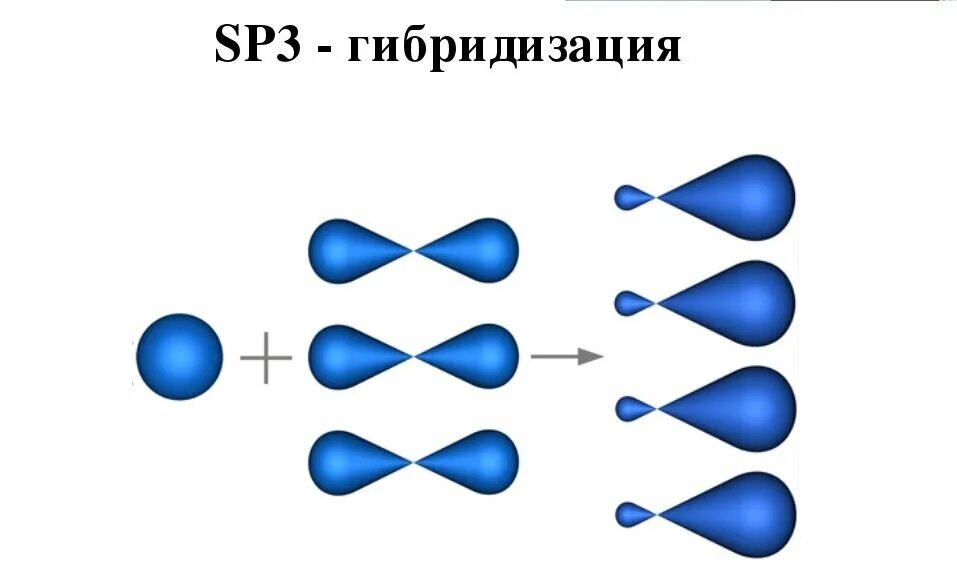 Sp3 гибридизация в соединениях. Sp2 и sp3 гибридизация. Гибридизация орбиталей сп3. Sp3 гибридный атом углерода. Гибридизация атомных орбиталей SP sp2- sp3- гибридизация.