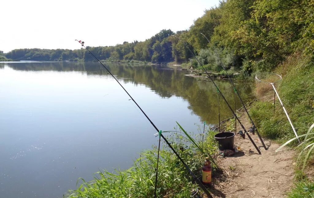 Рыболовные места. Красивые места для рыбалки. Рыбалка летом. Рыбалка на Дону. Пруд улов