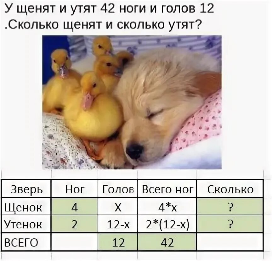 20 голов 52 ноги сколько кур. Задача про головы и лапы. задача про ноги и головы цыплята и котята. сколько было утят. задачи на головы и лапки.