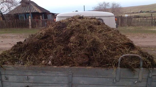курнул кентишка паровоз но вроде не навоз
