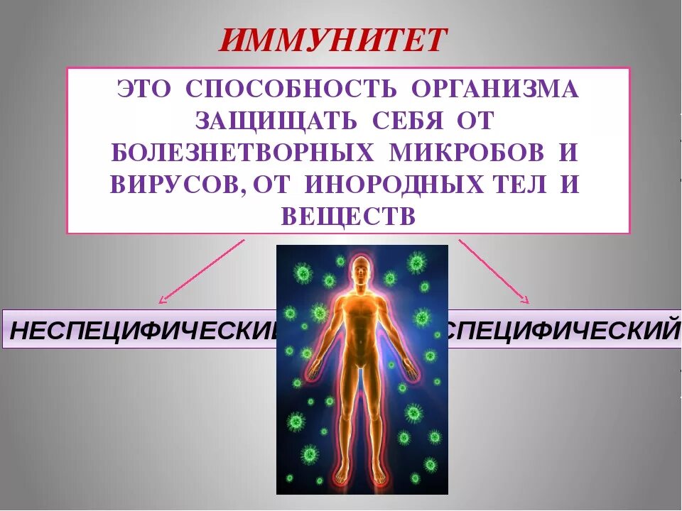 Иммунитет. Иммунитет презентация. Иммунитет что это такое простыми словами. Защитные системы организма. Иммунная биология