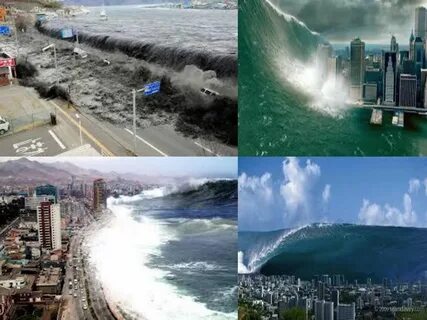 Tsunami exchange