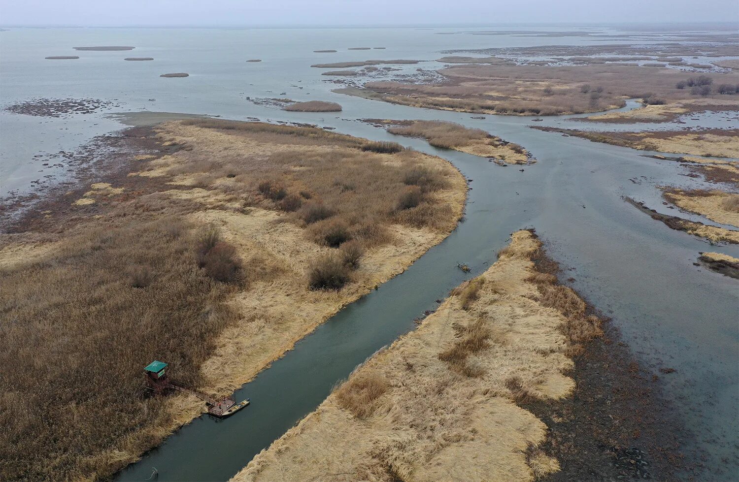 Река волга впадает в каспийское море знаки. Каспийское море и Волга. Дельта Волги. Устье Волги Каспийское море. Впадение Волги в море.