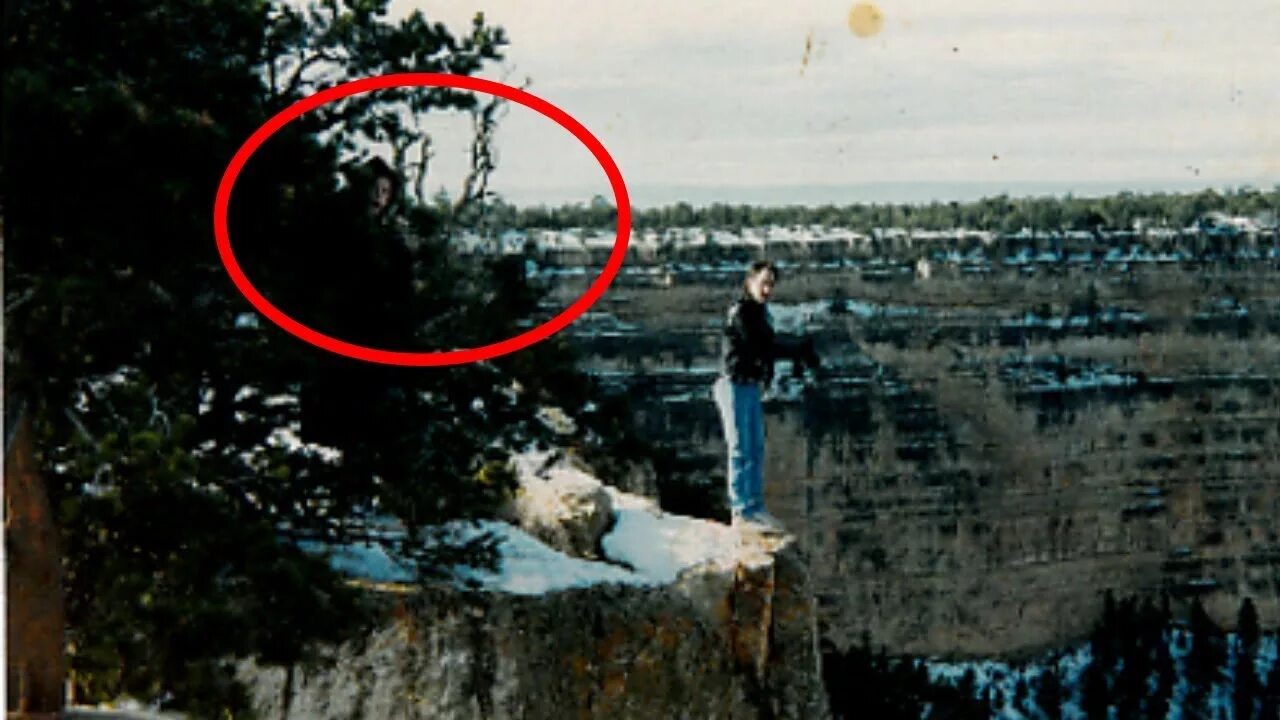 Это реальная фотография. Плохие качества человека. Это реальная фотография. Фотографии плохого качества. Это реальная фотография.