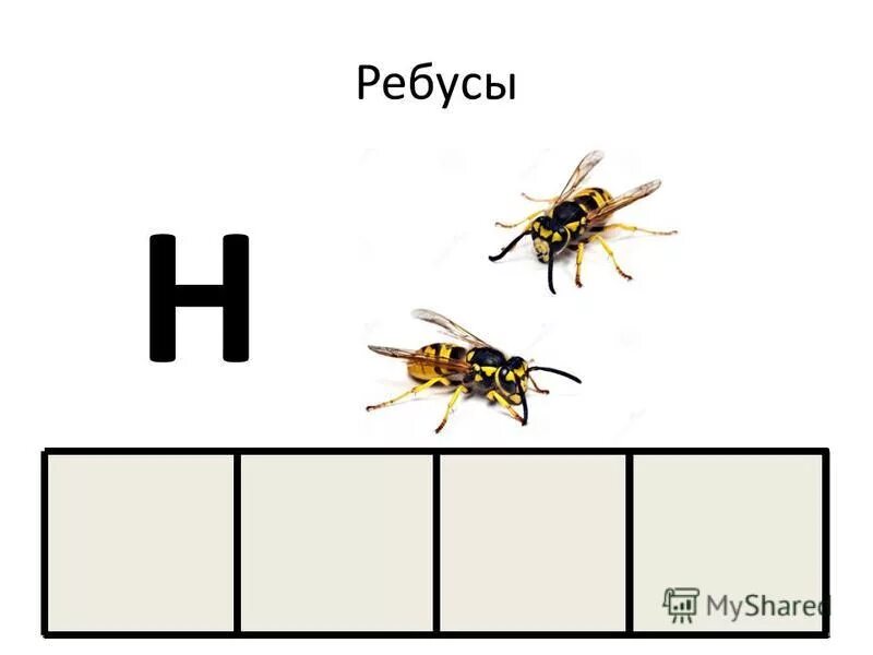 Н п осе. Ребусы с буквой н. Ребусы на букву н для 1 класса. Ребусы на букву м. Ребусы для 1 класса.