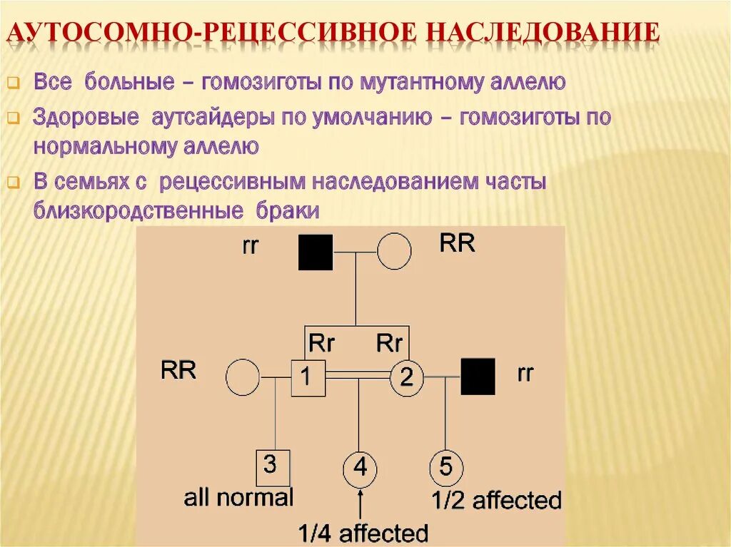 Признаки аутосомно-рецессивного наследования. Признаки аутосомно-рецессивного типа наследования. Аутосомный рецессивный Тип наследования. 2. Аутосомно-рецессивный.