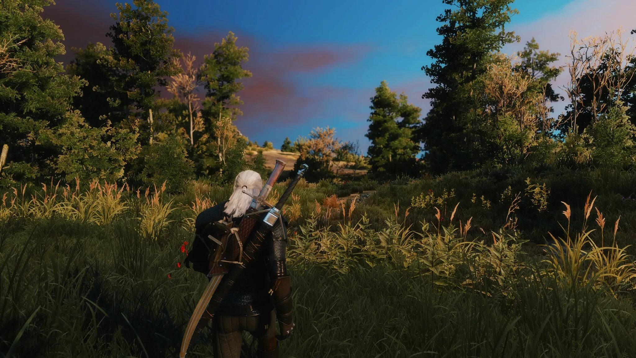 Скеллиге Ведьмак 3 ультра Графика. Witcher 3 grass. Игра Ведьмак 1 природа. Ведьмак сеттинг. Рог ведьмак