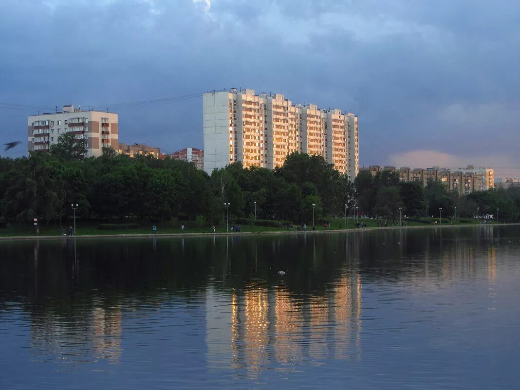 Ваш любимый пруд. Гольяновский крым. Гольяновский пруд москва зимняя. Гольяновский пруд 1984. Пруд природный.