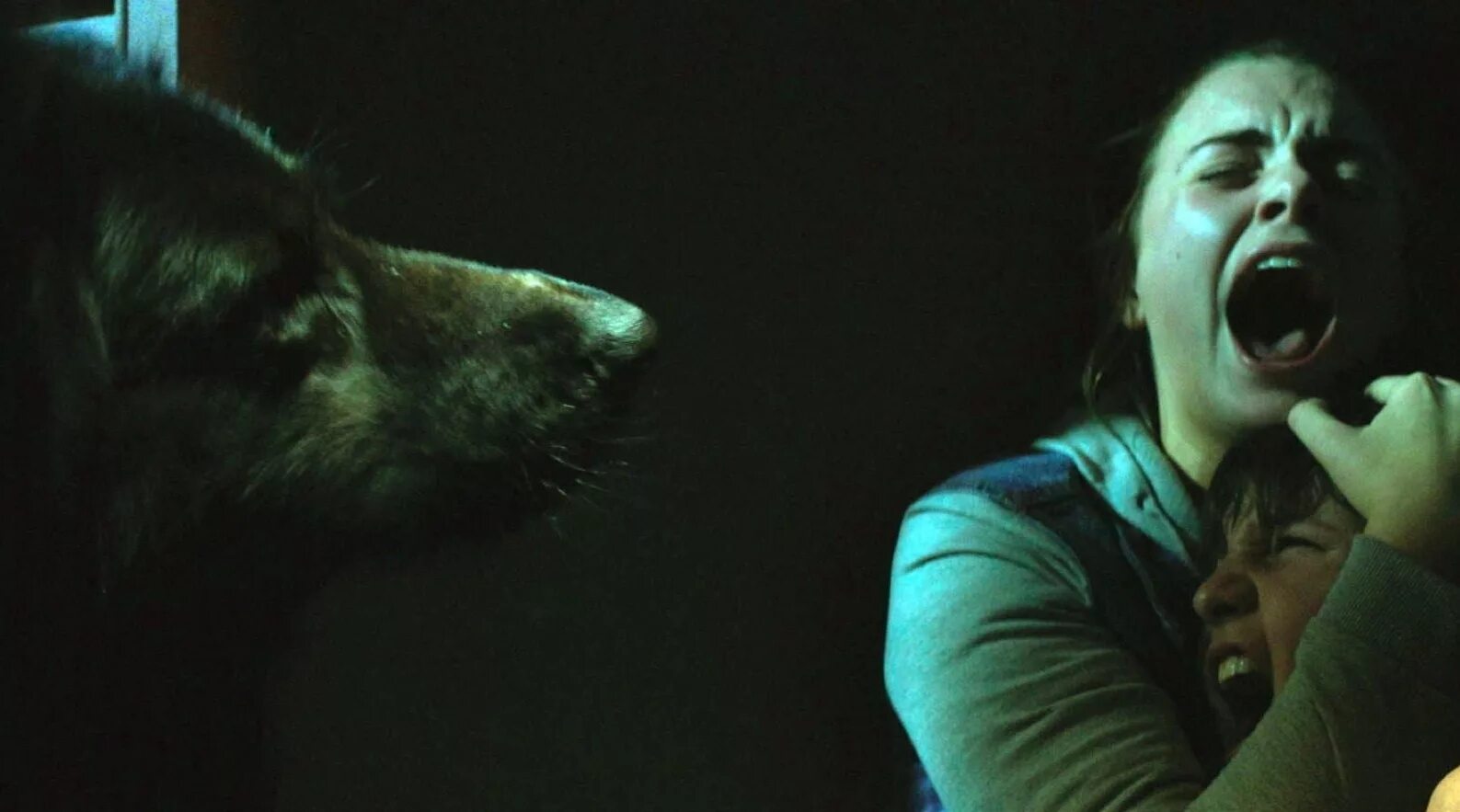 ужасы диких животных