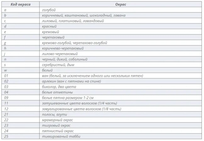 Код окраса. Окрас Мейн кунов таблица. Окрас Мейн куна таблица. Окрас котят Мейн кунов таблица. Таблица окрасов Мейн кунов с кодами.