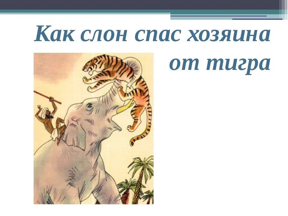 Б Житков как слон спас хозяина от тигра. Житков про слона как слон спас хозяина от тигра?. Рассказа б.с. Житкова «как слон спас хозяина от тигра». Как слон спас хозяина читать