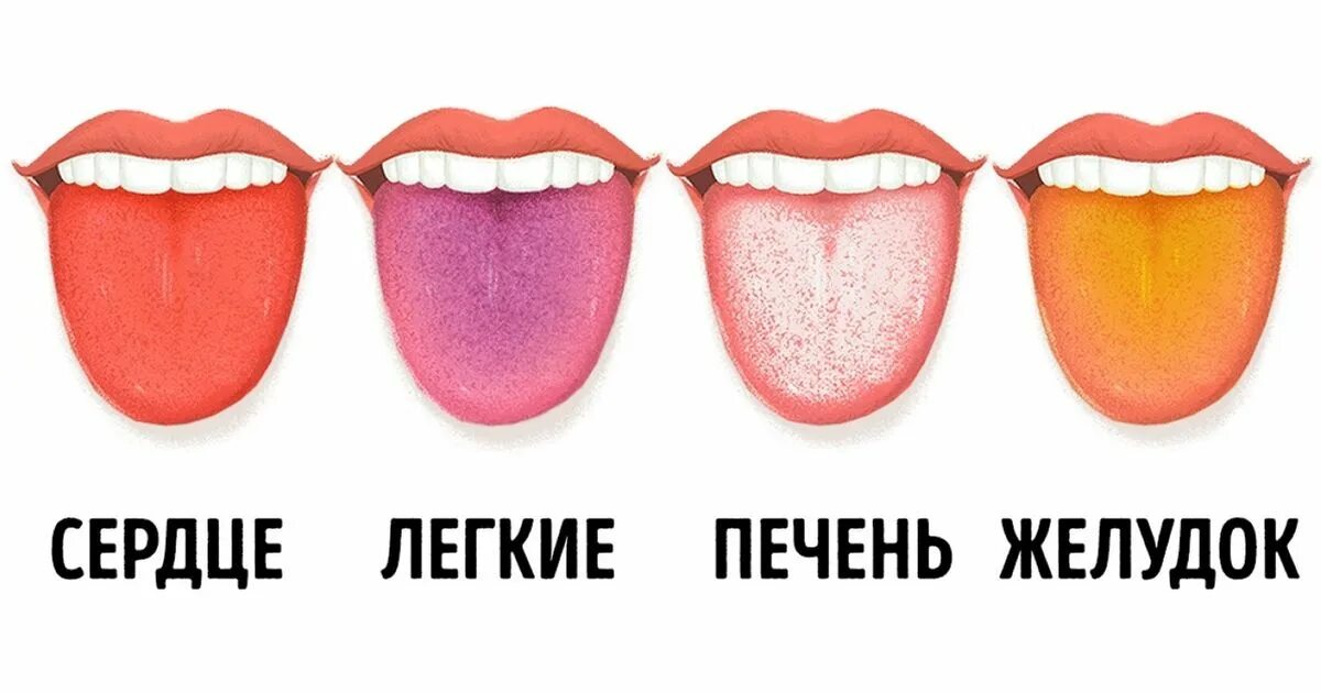 Фотографии ДАЛЕКОЙ ОМОНИМЫ