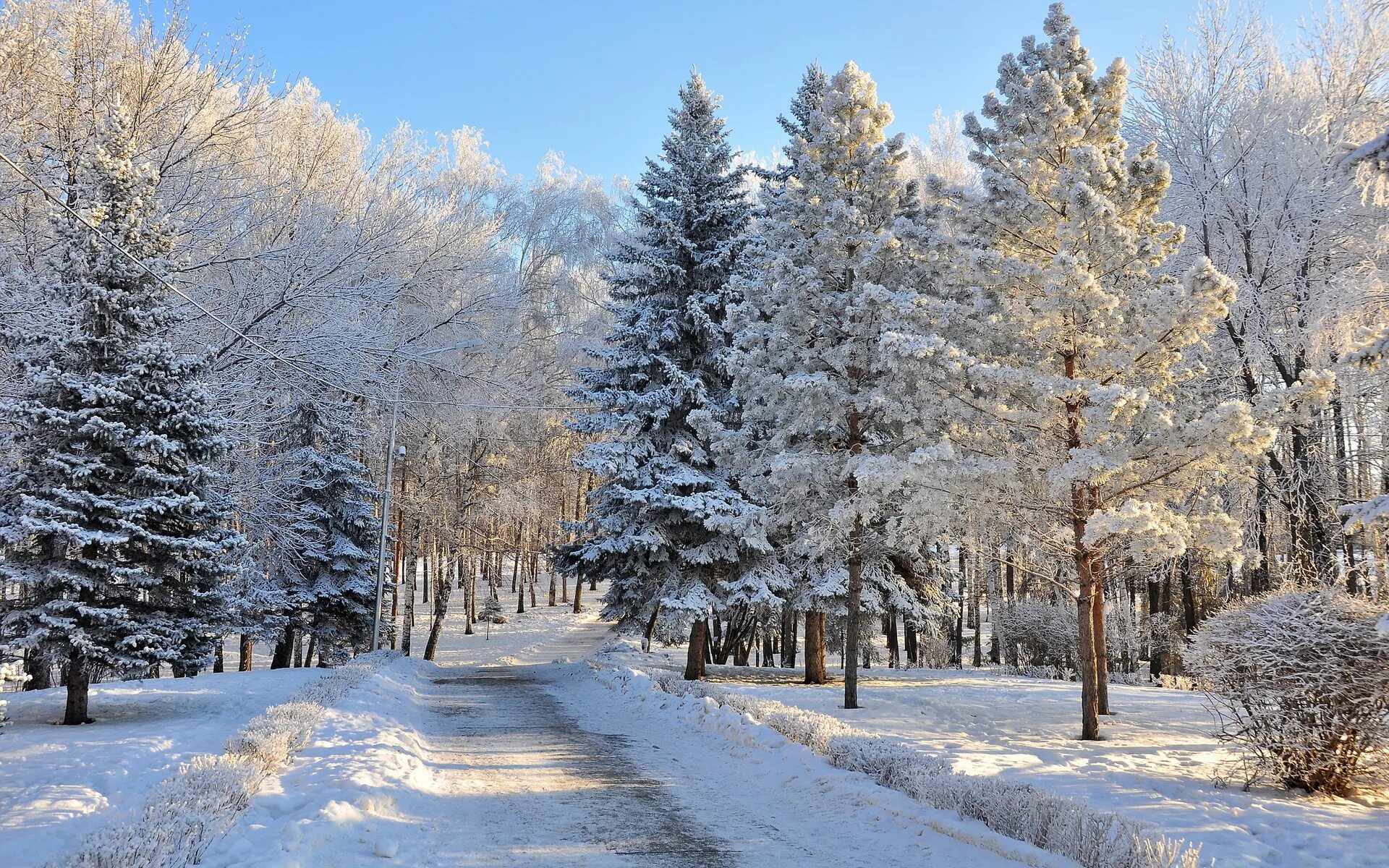 Зима картинки. Зеленогорский парк зимой. Зимний лес. Зима фото. Зимний лес парк.