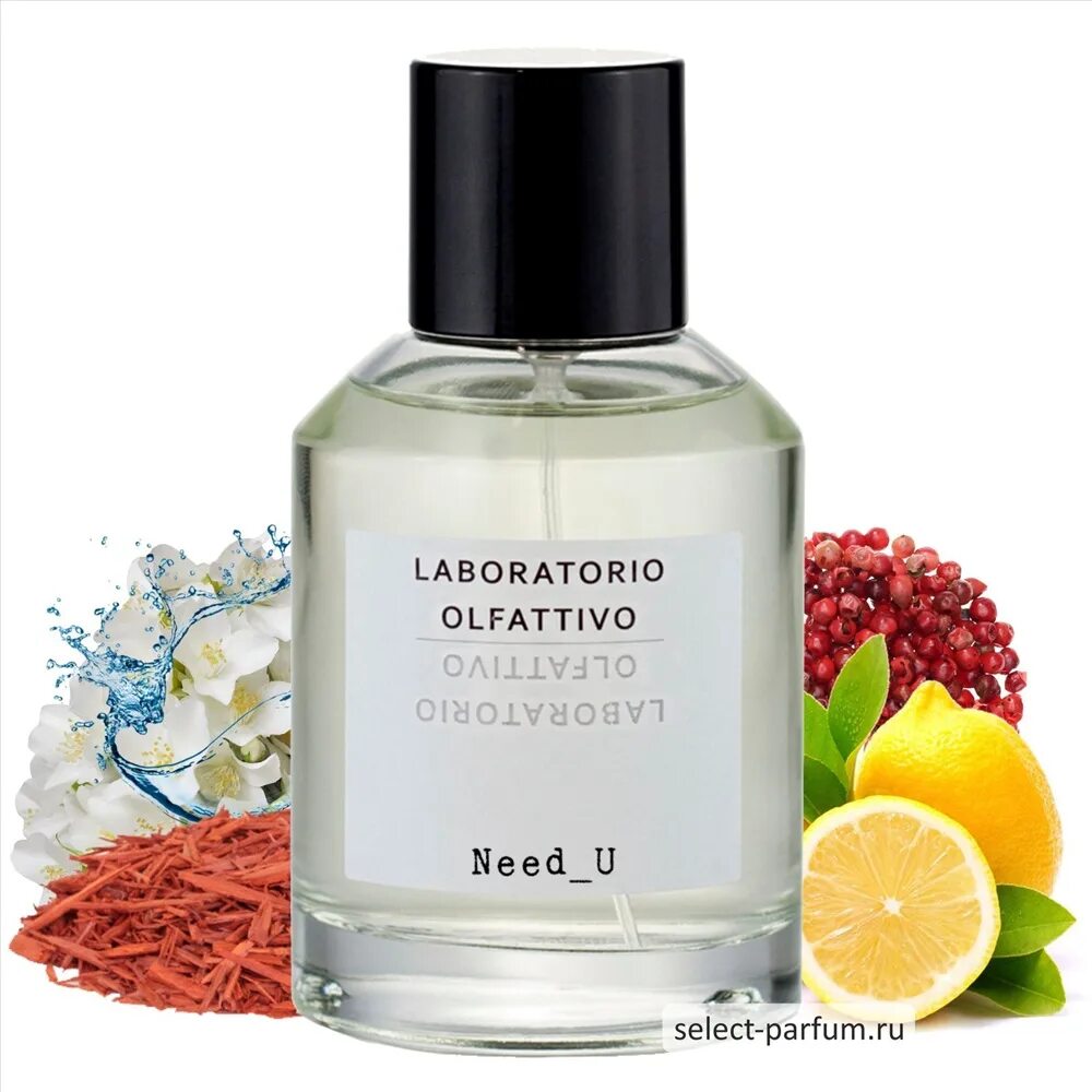 Туалетная вода u. Духи laboratorio Olfattivo need u. Laboratorio Olfattivo need_u EDP Tester 100 ml. Laboratorio Olfattivo need_u EDP. Laboratorio Olfattivo need_u 50ml hair Mist.