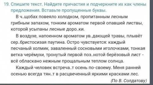 Спиши текст найди в каждом предложении. Спиши текст найди в каждом предложении