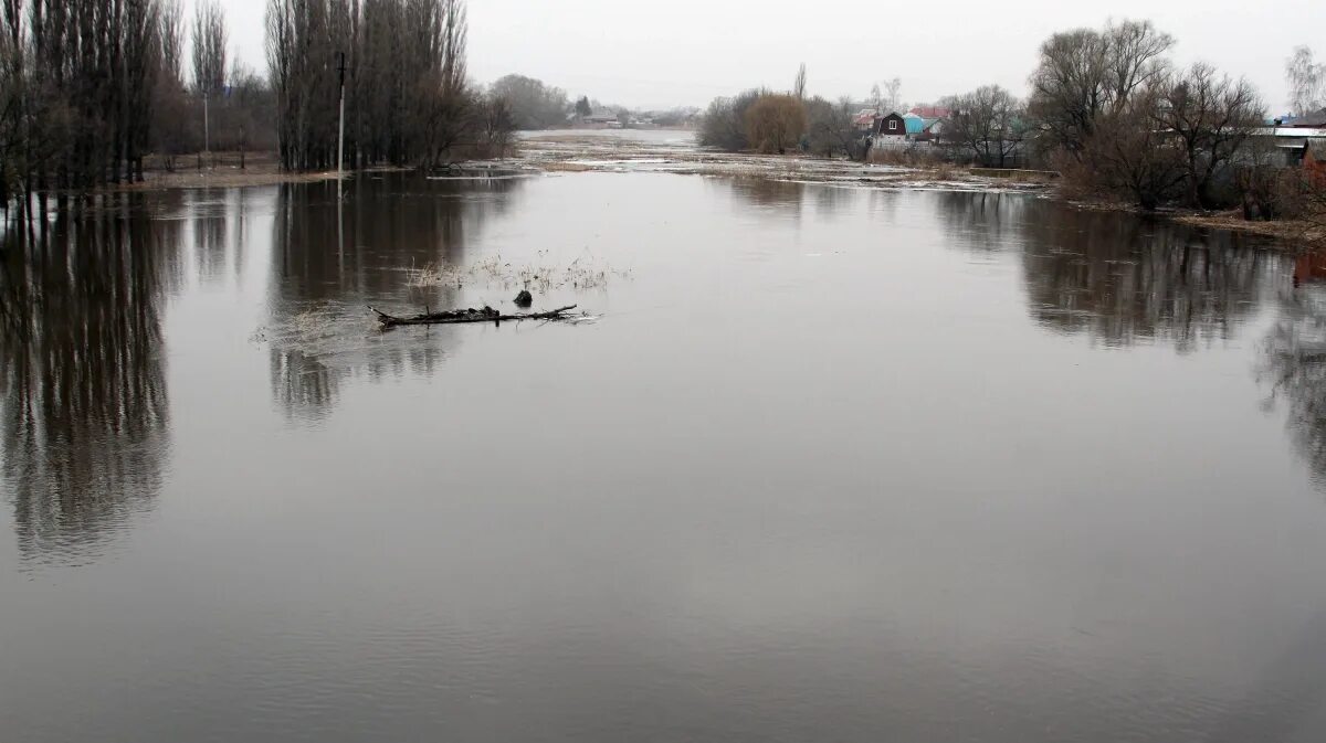 Разлив на реке Воронеж. Мост река ворона Борисоглебск. Ступино Рамонский район река Воронеж. Река ворона в Воронежской области Борисоглебск.