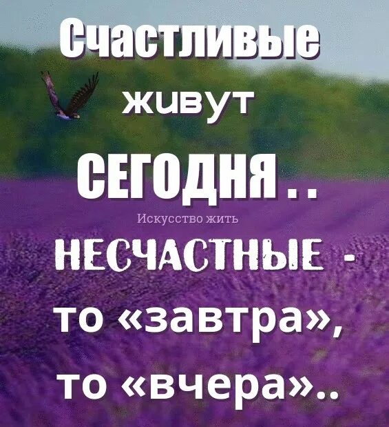 Живи сегодняшним днем. Живи сегодняшним днем цитаты. Надо жить сегодняшним днем. Жить надо сегодня. Люди живущие сегодняшним днем