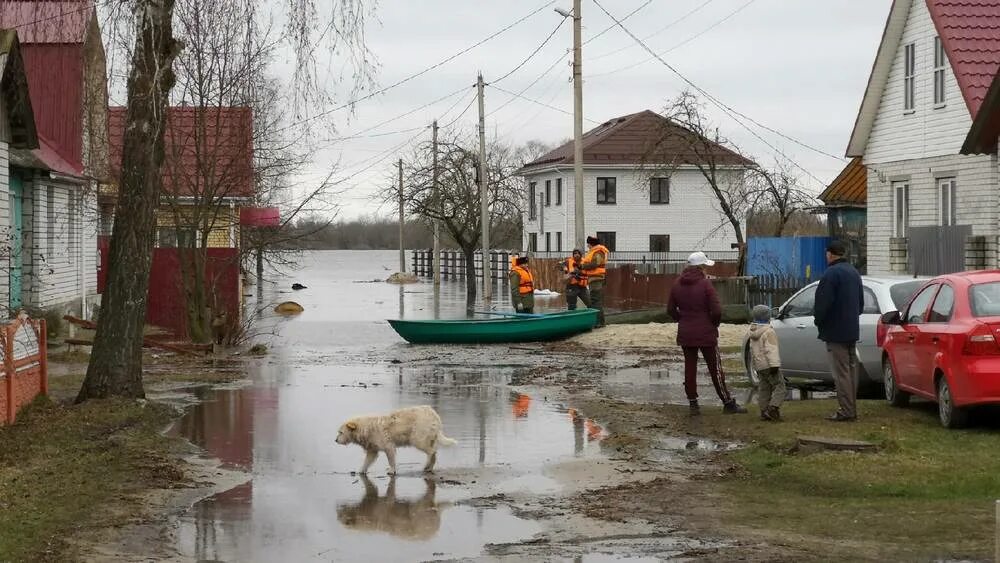 Паводок брянск. Радица-Крыловка Брянск. Потоп в Брянске 2022. Город Брянск посёлок Радица Крыловка. Радица-Крыловка Брянск река.