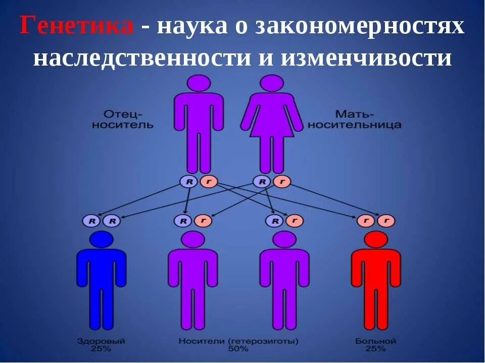 Генетические различия людей. Генетика человека. Генетика наследственность. Генетика человека наследственность. Гены по наследству.