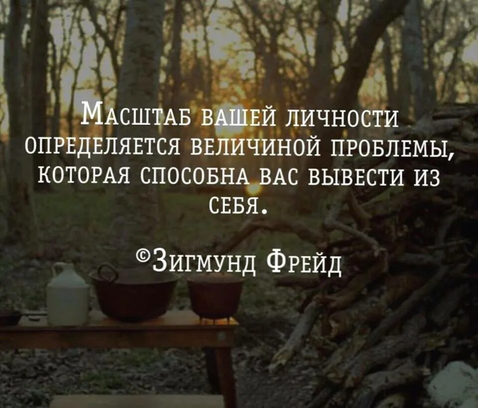 Масштаб вашей личности определяется. Величие человека определяется величиной проблемы. Масштаб вашей личности определяется величиной. Масштаб вашей личности определяется величиной проблемы.